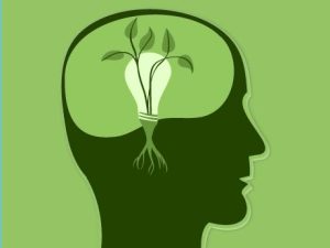 Read more about the article God-Given Talent, Human Neglect: A Call to Nurture Purpose